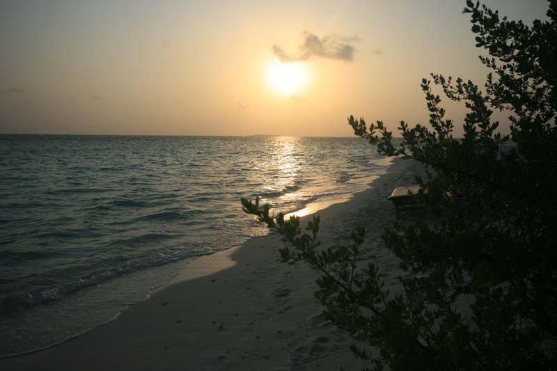 maldives_2008_april_may-055